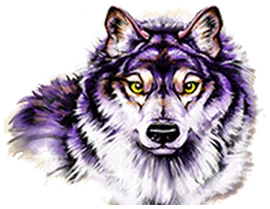 Grey wolf symbol from the Buffalo Stampede paytable